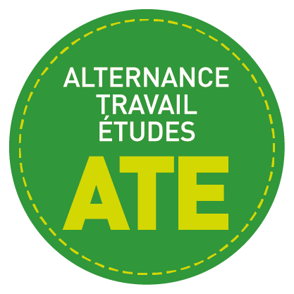 pastille ronde alternance travail-études ATE